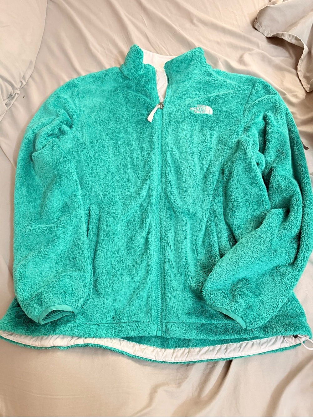 The North Face Teal Plush Full-Zip Teddy Jacket